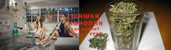 спайс Покачи