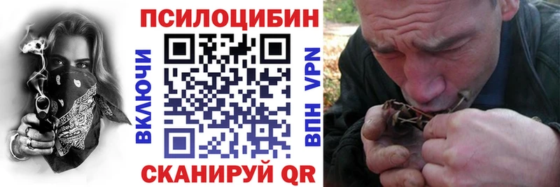 Галлюциногенные грибы Cubensis  Тамбов 