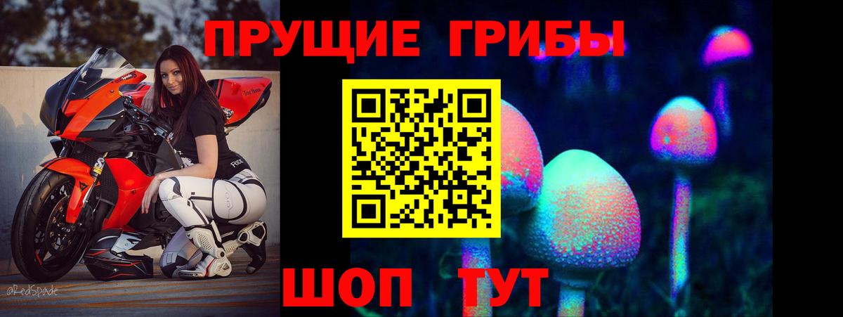 Галлюциногенные грибы Cubensis  Вход с VPN  Тамбов 